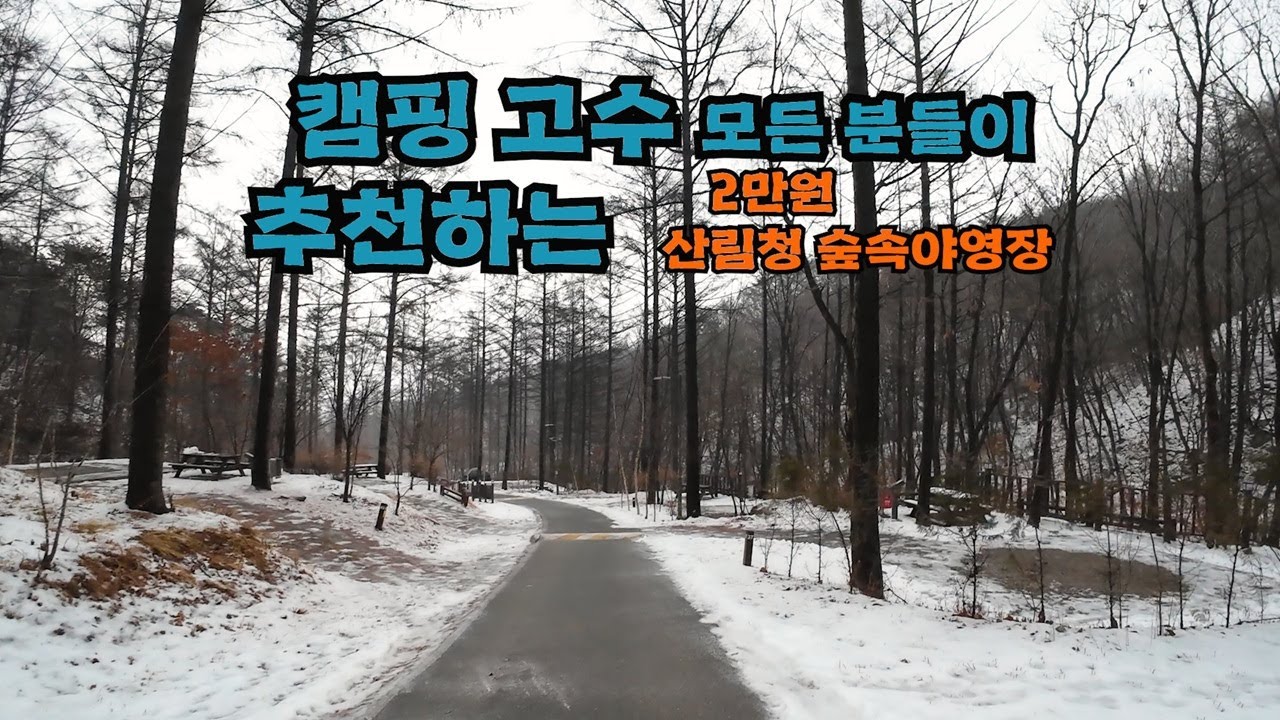 가격까지 착한..여유롭게 캠핑 가능한 지금이 최고인 국립숲속야영장