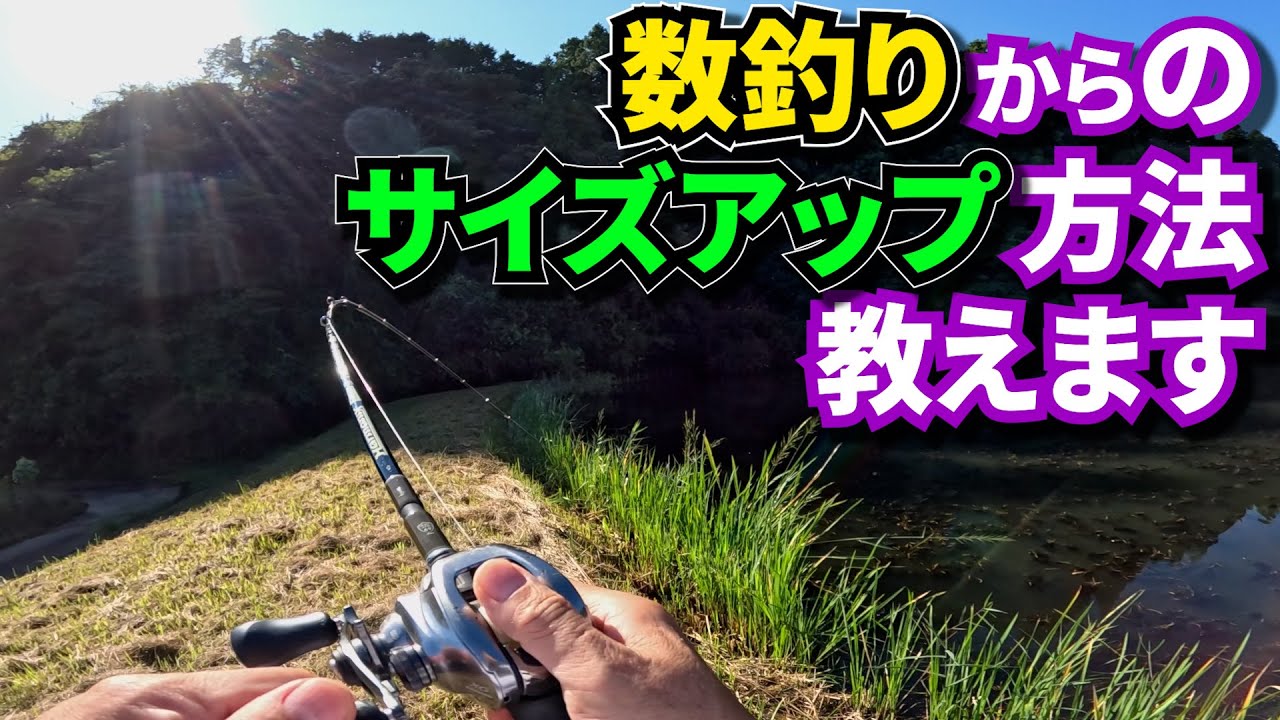 【バス釣り】秋の野池で簡単に釣れるオススメのルアー＆釣り方はコレだ！！