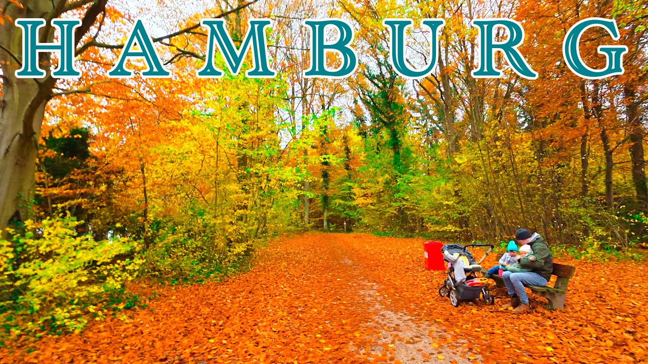 In 4K Hamburg, Germany 🇩🇪 Early Morning Walk #germany #hamburg #subscribe 👍