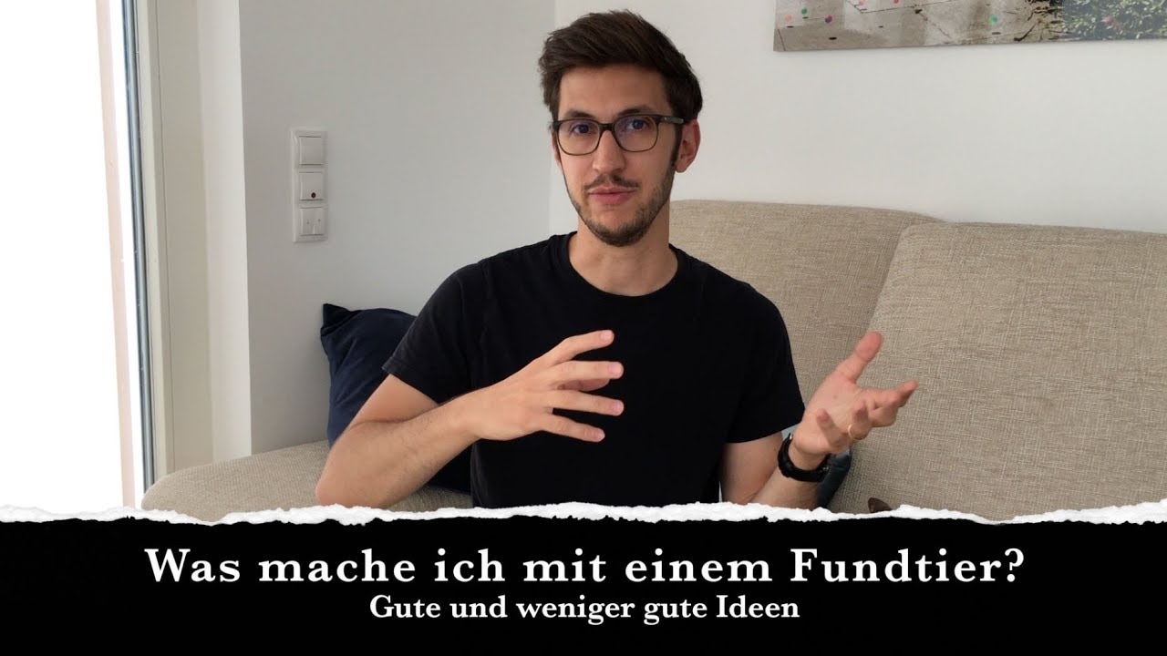 Was mache ich mit einem Fundtier?
