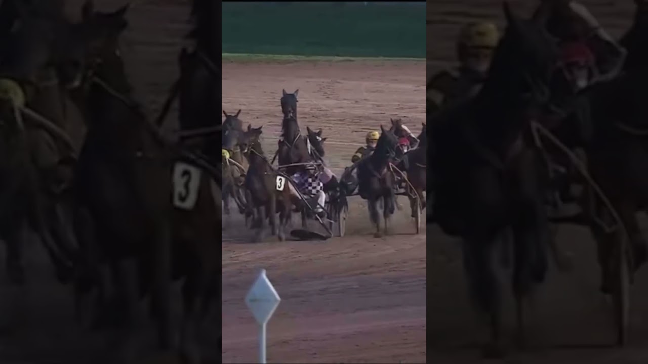 Gros Accident a #toulouse #horse #horseracing #equestrian #france #crash #pourtoi #fyp #harness #pmu