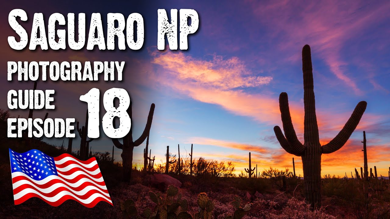 SAGUARO NATIONAL PARK, West, Landscape Photography USA, Arizona