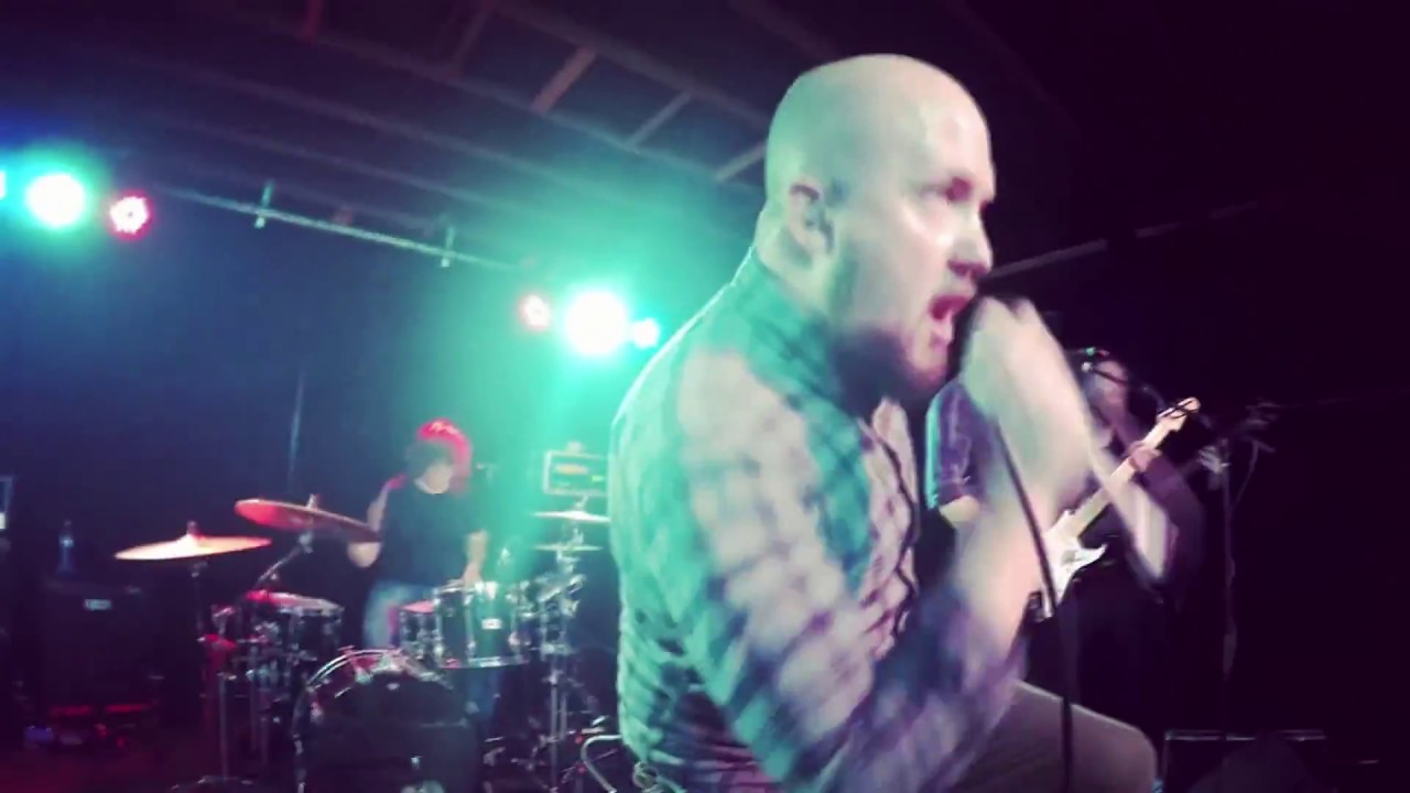 HighView - Animal (Official Music Video)