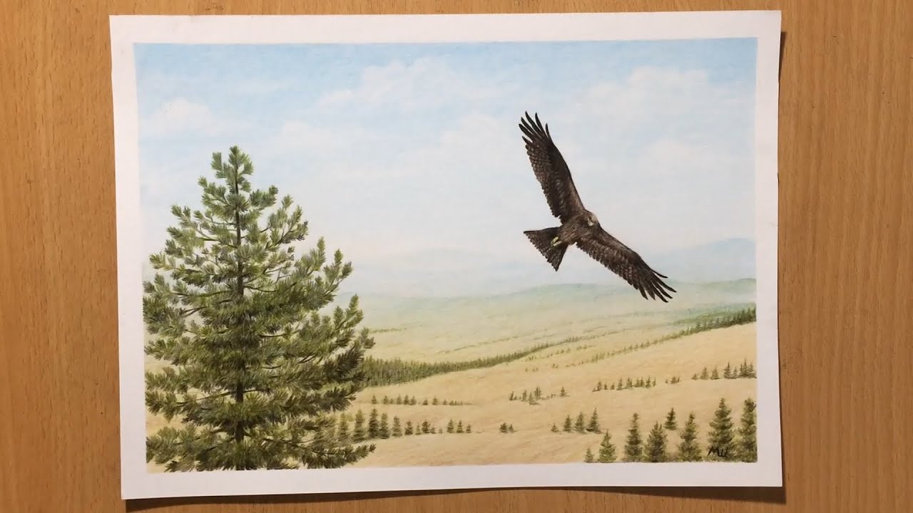 Landscape Drawing in Colored Pencil