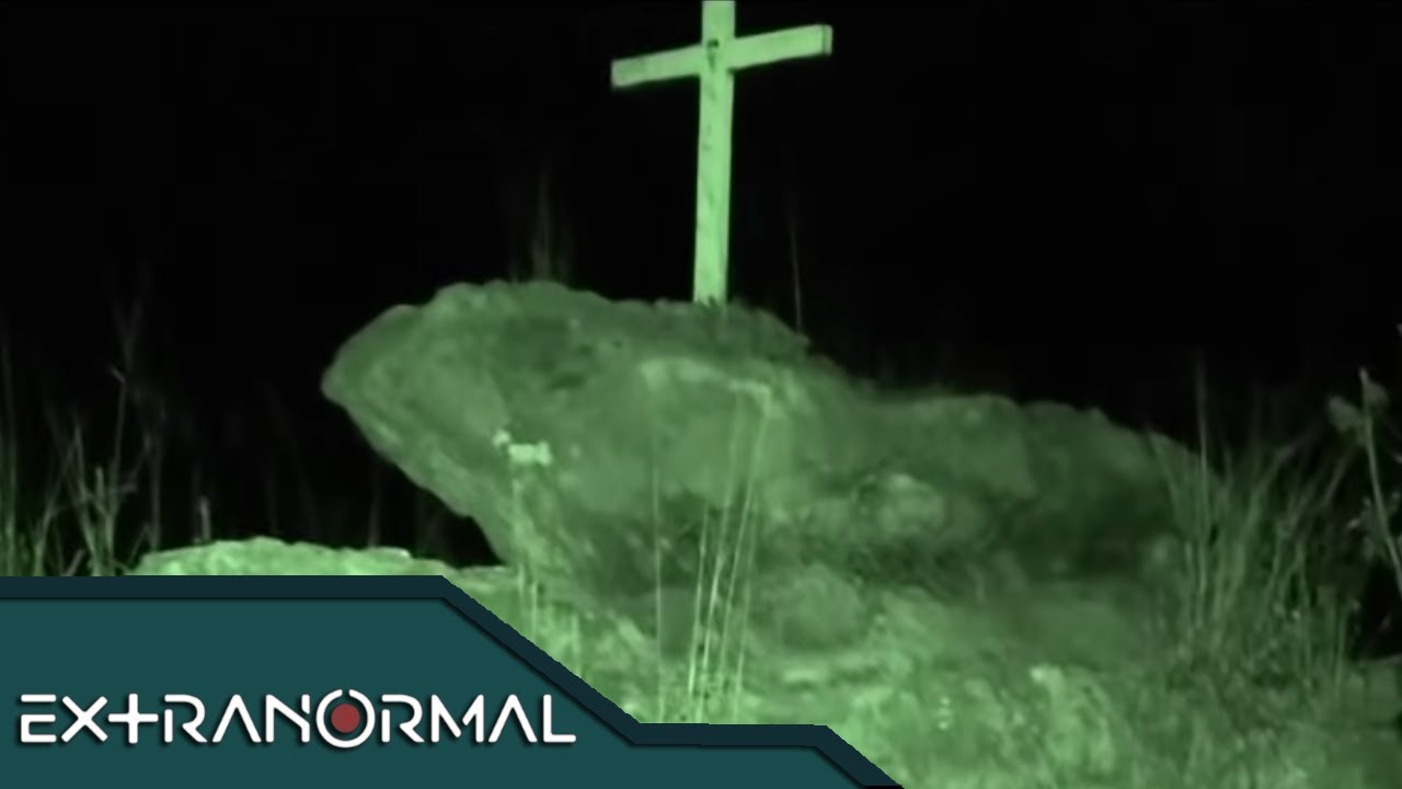 Bosque de los muertos. | Extranormal