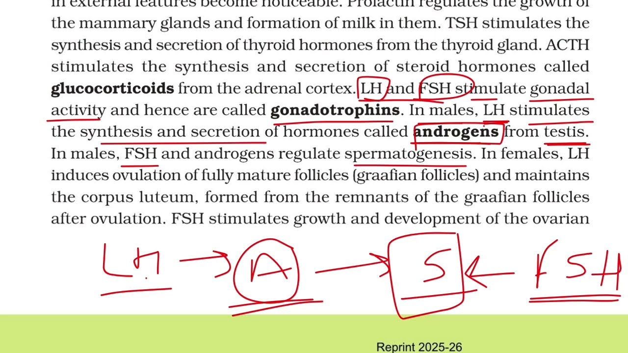 Pituitary Gland | Class 11 Biology | NCERT Line by Line | NEET