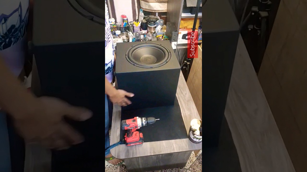 Punchy Bass | 12 inch Subwoofer Build | JBL Infinity Sony #phonk #bass