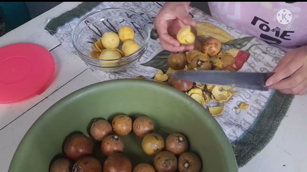 VLOG MACAIBA E SEUS BENEFÍCIOS  NA SAÚDE | Elisangela