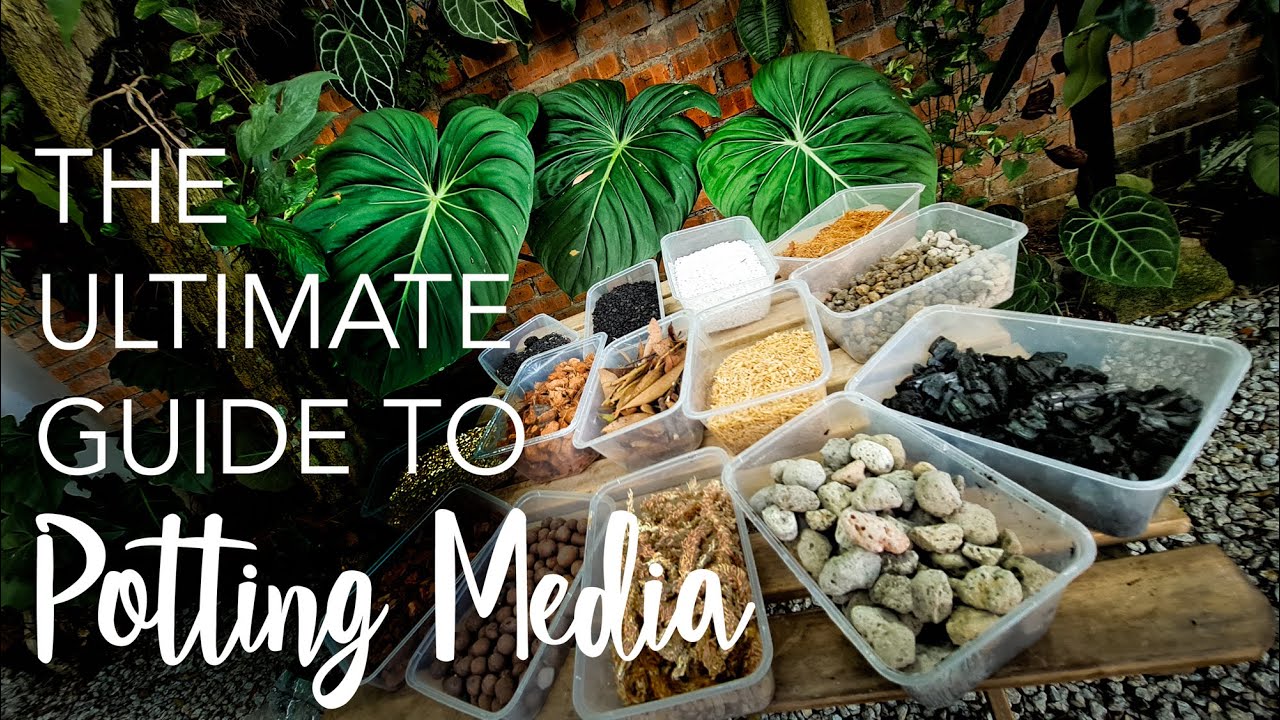 PART 1: ULTIMATE GUIDE to Potting Media: 13 types | Perlite vs Pumice, Cocopeat vs Peat Moss & more!