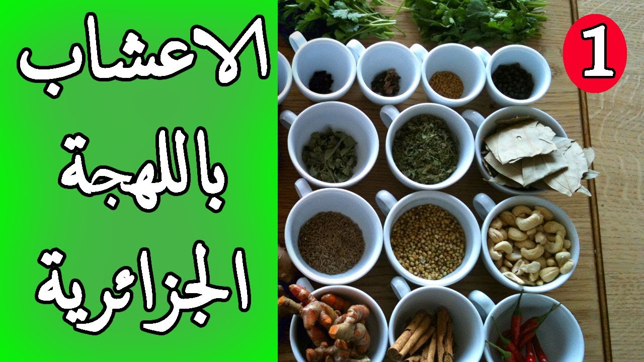 10 أعشاب مترجمة الى اللهجة الجزائرية    الجزء 1 🇩🇿🇩🇿