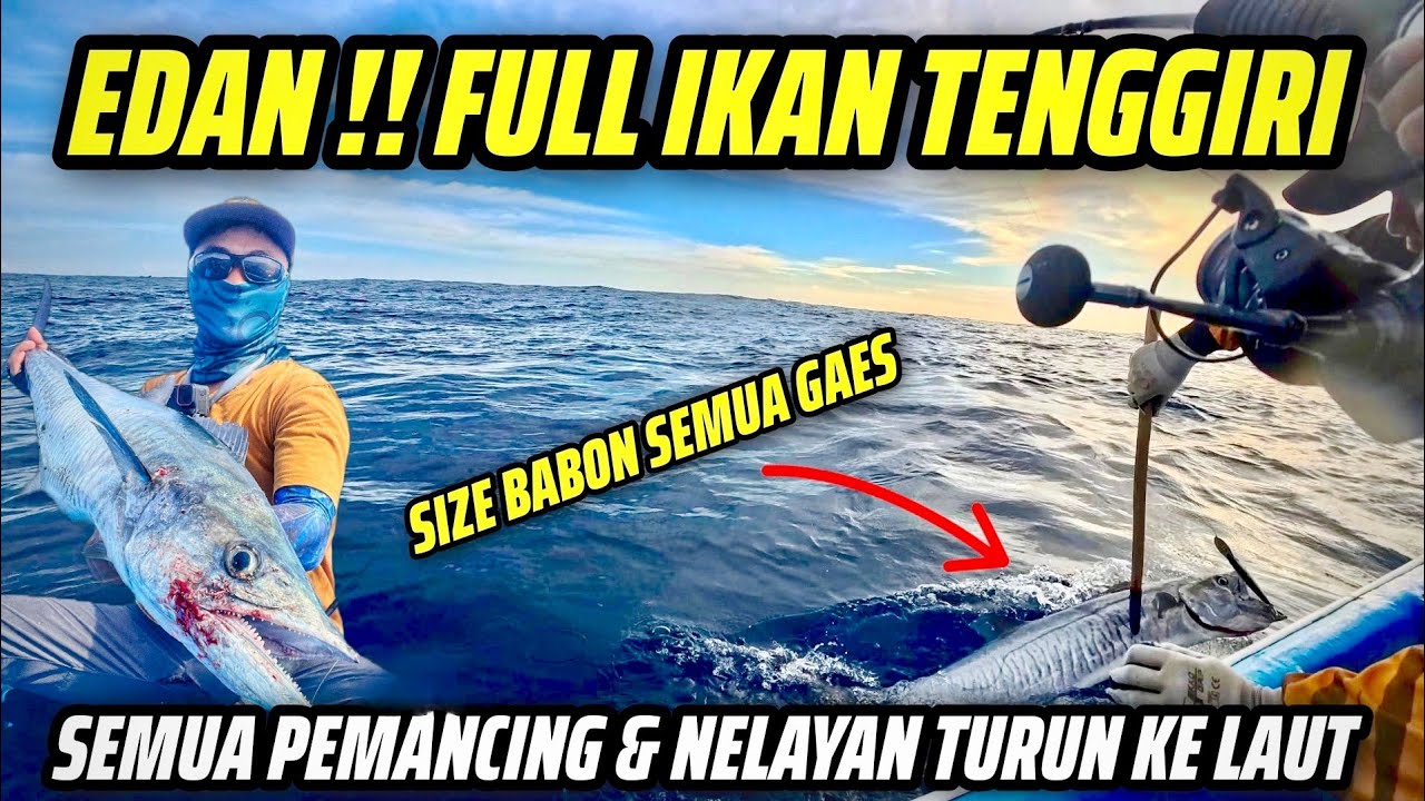 ASLI PANEN INI GAES‼️FULL STRIKE IKAN TENGIRI SIZE GEMOY 😍 PANTAI SIUNG WONOSARI.