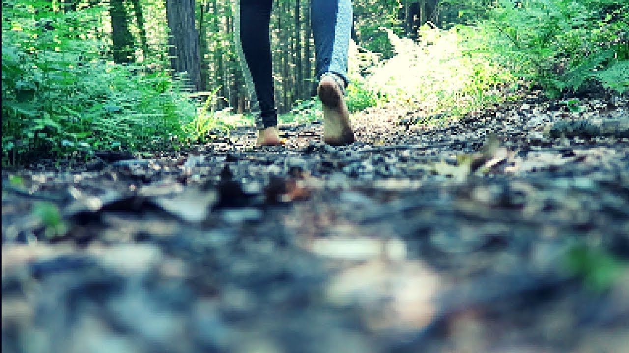 What is Forest Therapy?