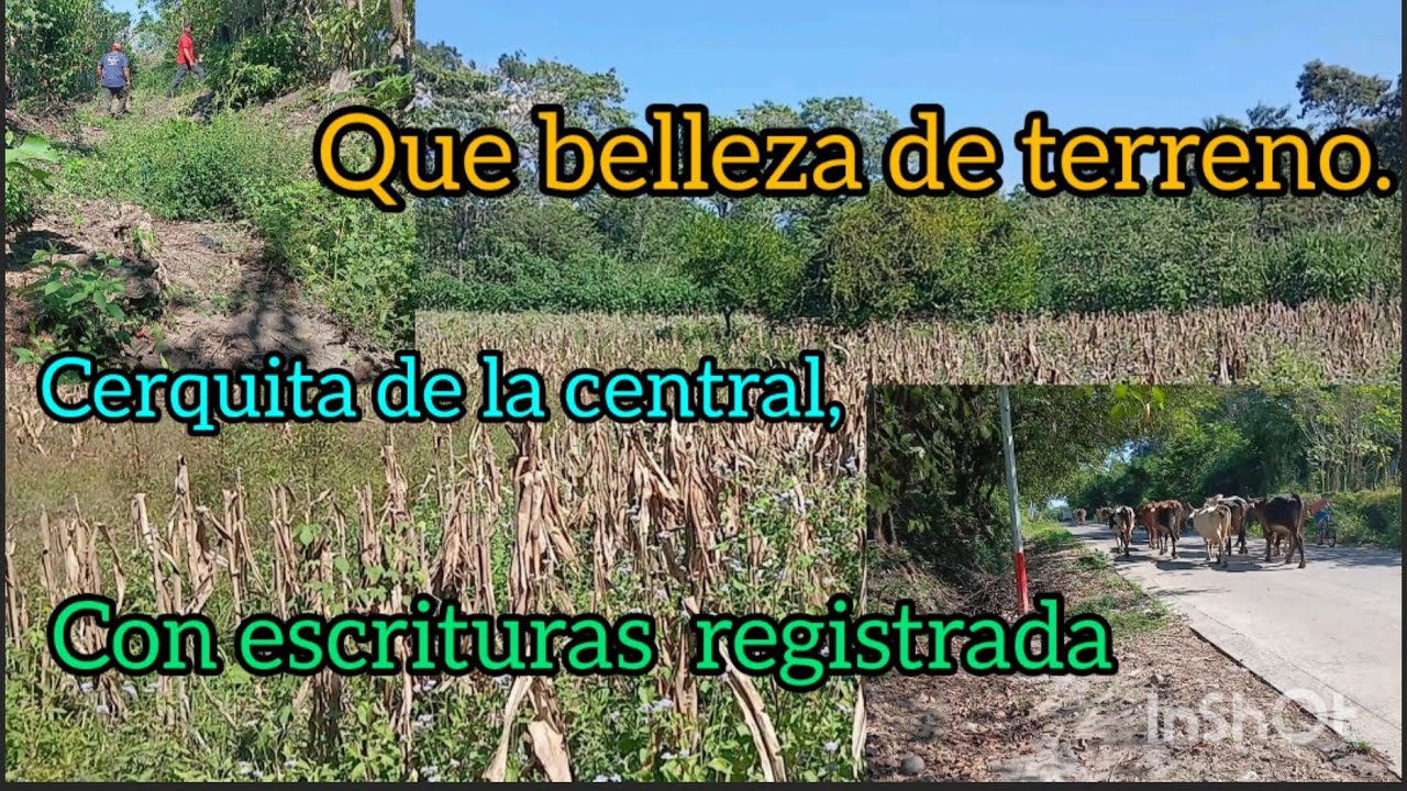 Terreno grande  a la venta 33x60 ,a muy buen precio,con escrituras,llame al 502,53446759,el jabali. 