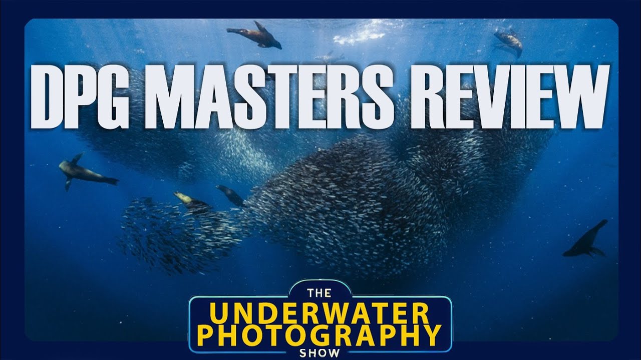 Фотографии-победители конкурса подводной фотографии DPG Masters 2023 года