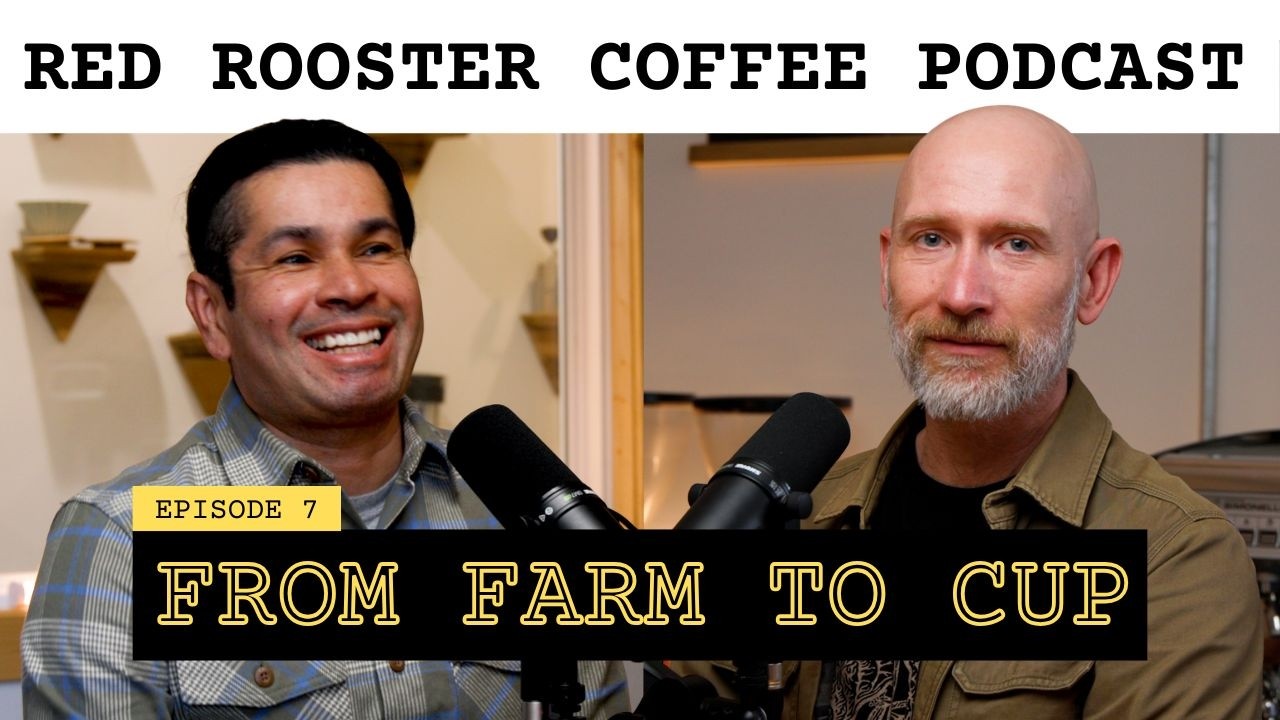 Inside Panama Coffee: Growing, Processing & Indigenous Labor | Red Rooster Podcast Ep. 7