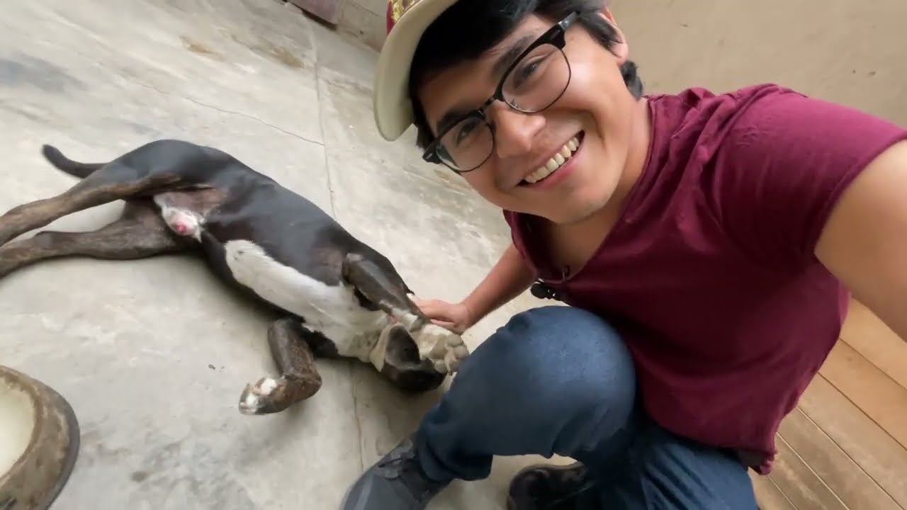 &iquest;Has perdido el inter&eacute;s por estudiar? Mira este video