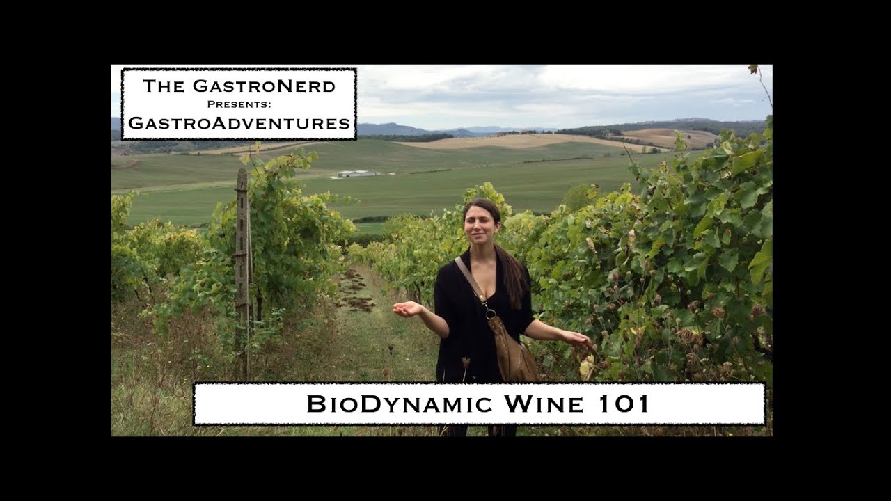 A Lesson in BioDynamic Wine