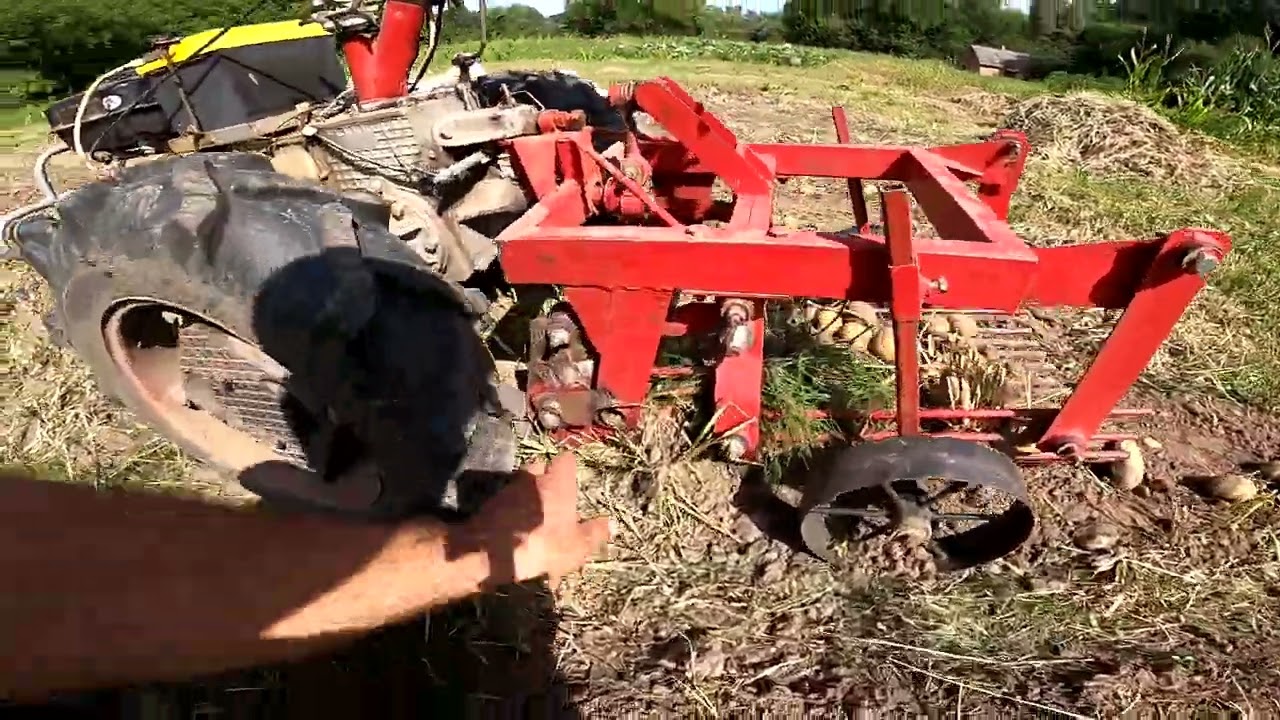 Коп картоплі кам'янською копачкою з доопрацьованим кріпленням леміха.