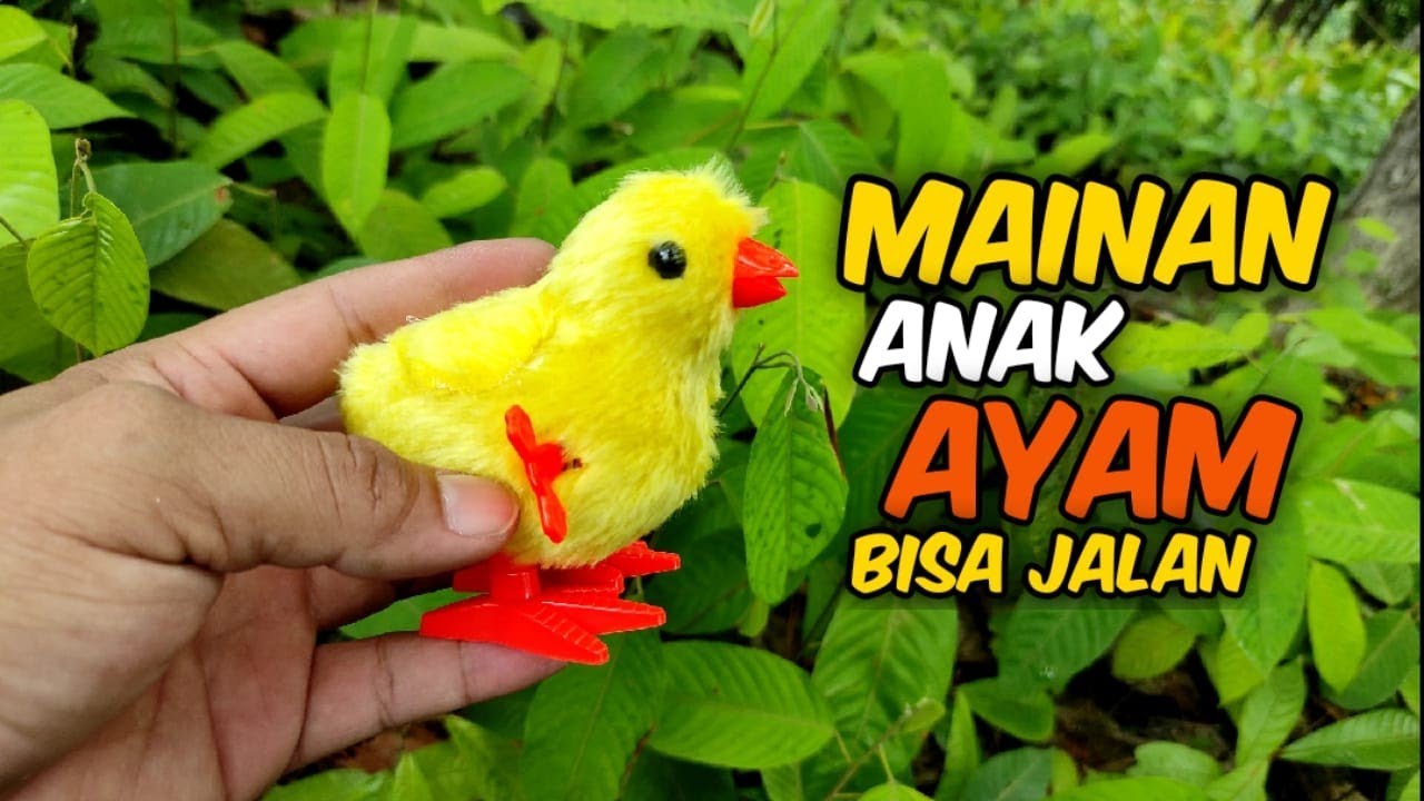 Mainan Anak Ayam Lucu Loncat Loncat Menakjubkan