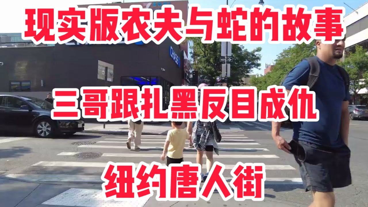 三哥自驾游跟扎黑上演了农夫与蛇的故事！结局很凄凉救急不救穷命，纽约#唐人街 
