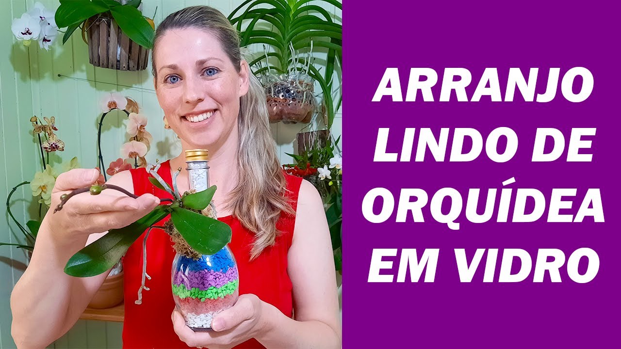 Replante de Orquídea Mini Phalaenopsis em Garrafa de Vidro