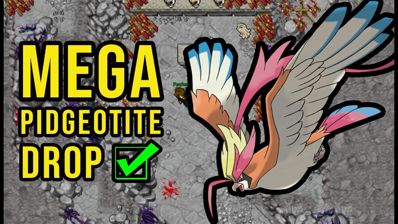 [PXG] Mega Pidgeot - Pidgeotite Drop 586 / Peżot łapany tak o