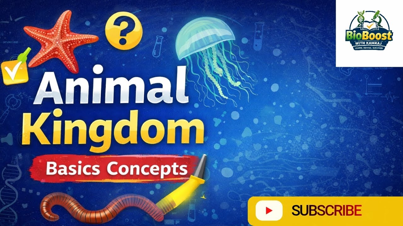  Animal Kingdom | Basic Concepts | Lecture 2 | NEET | CEE | Class 11 Zoology 
