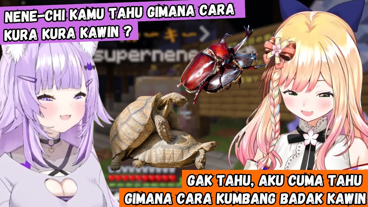 Disaat yang Lain Melawan Naga Nene dan Okayu Malah Cerita Tentang Cara Perkawinan Hewan