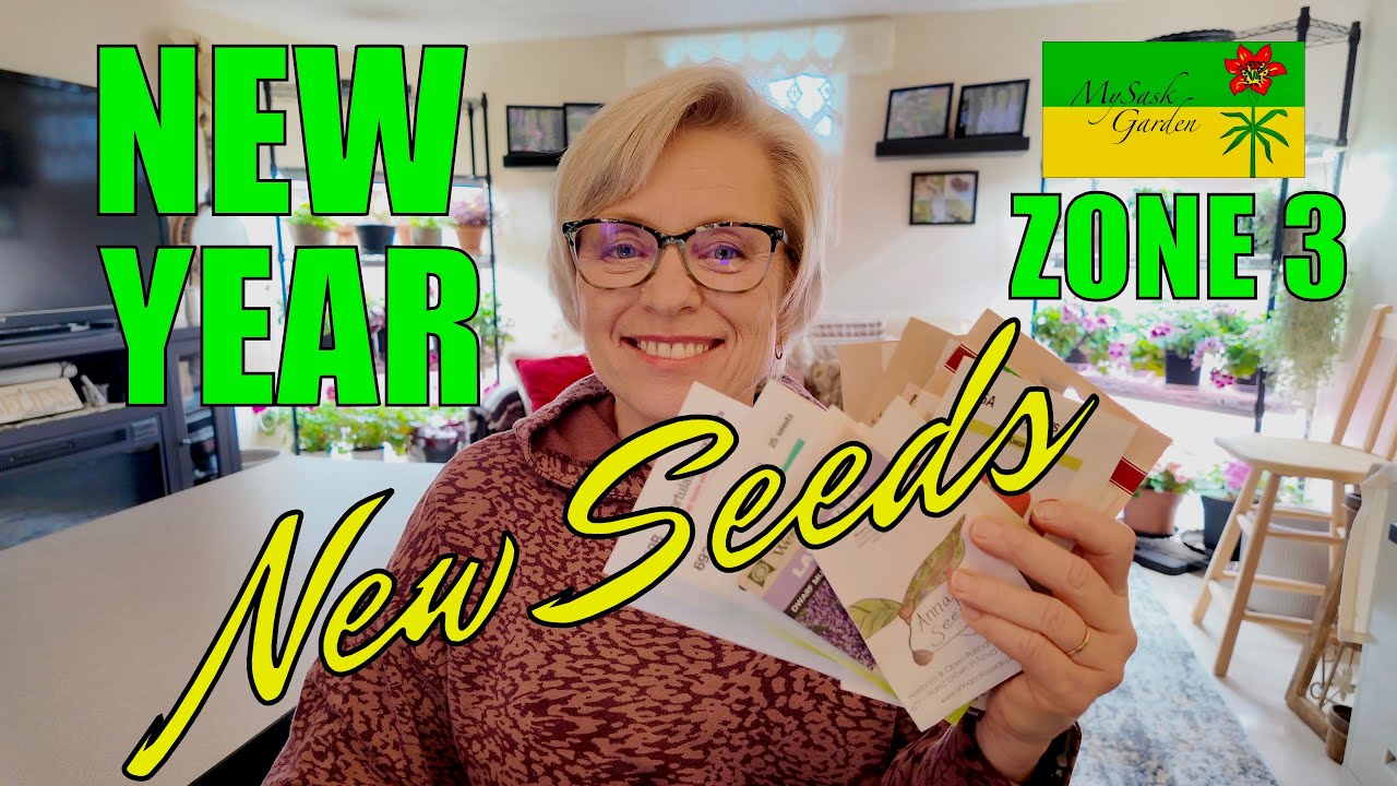 Zone 3: Seed Haul for the 2026 Garden, Update on Red Robin Tomatoes