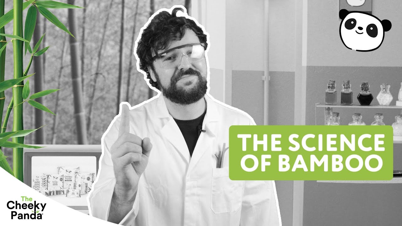 The Science of Bamboo | The Cheeky Panda