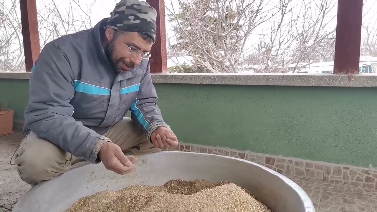 Tavuklara özel bomba yem yapımı