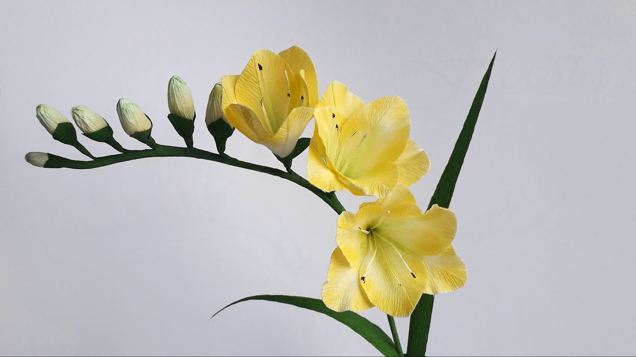 Фрезия из гофрированной бумаги /  Freesia paper flower