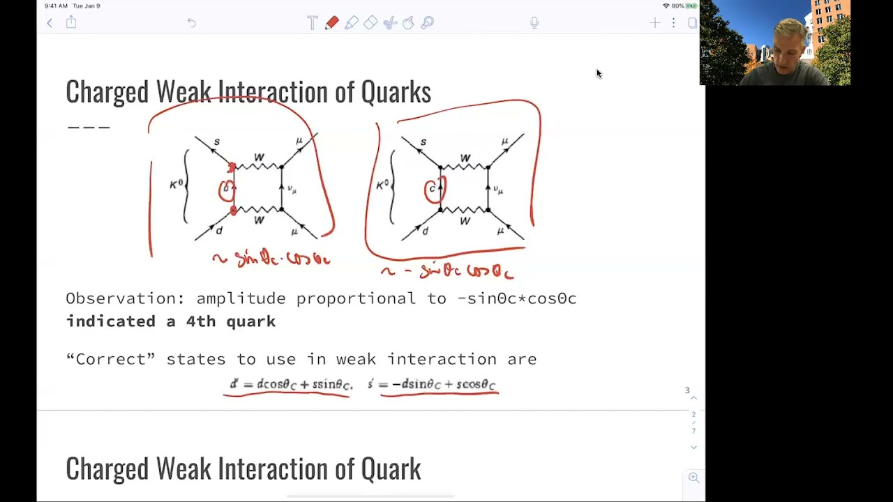 L6.4 Weak Interactions: Quarks
