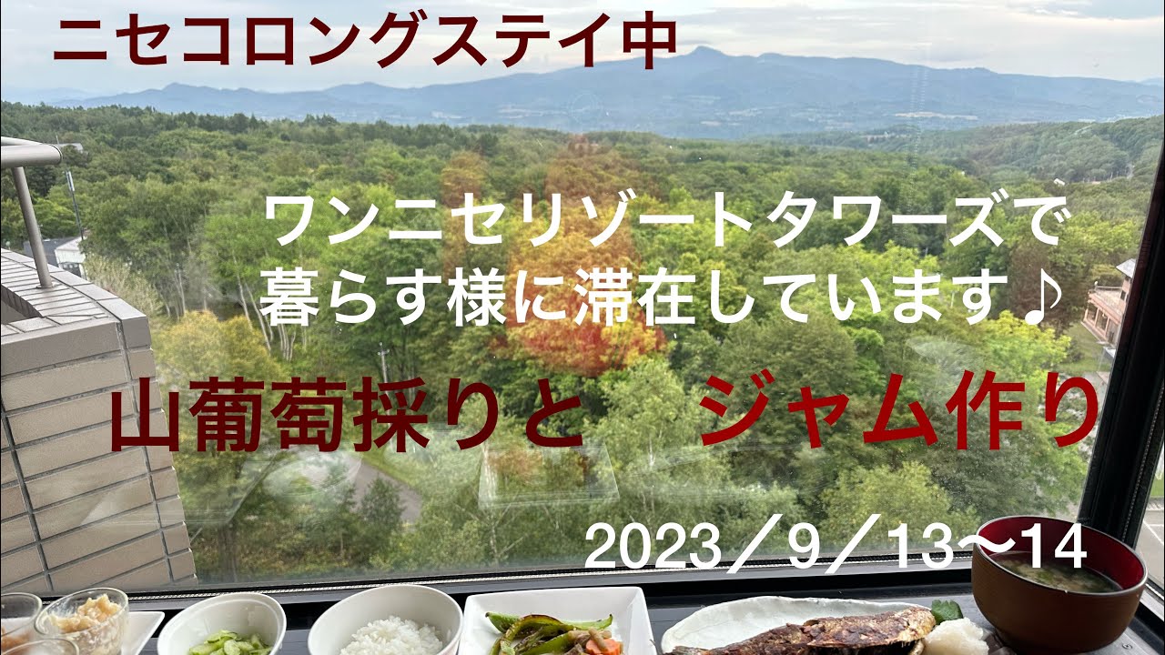 北海道ニセコロングステイ中ワンニセコリゾートタワーズで暮らす様に滞在しています。ヒルトンニセコもいいが！キッチンが付いて　家にいる感覚で過ごすここもが最高♪早速山で採った山葡萄ジャムクックの実況です。