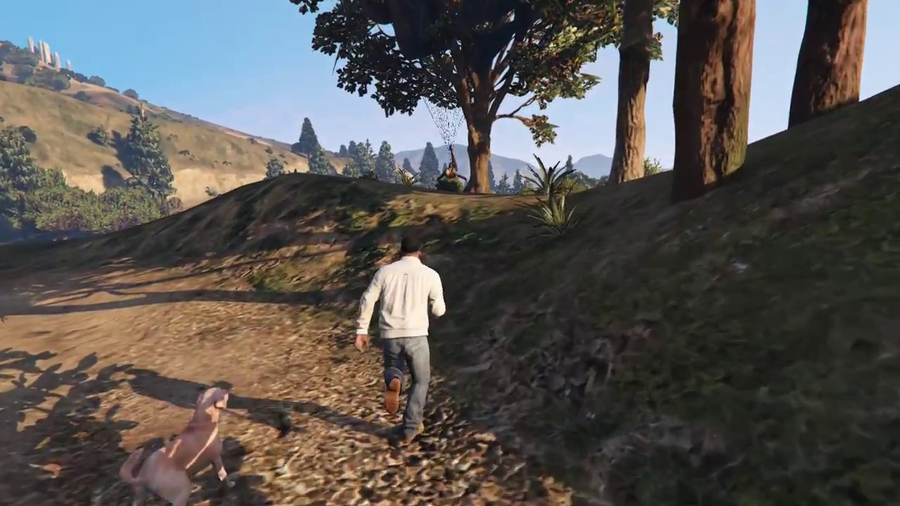 Grand Theft Auto V - Talking to Ghost Dog