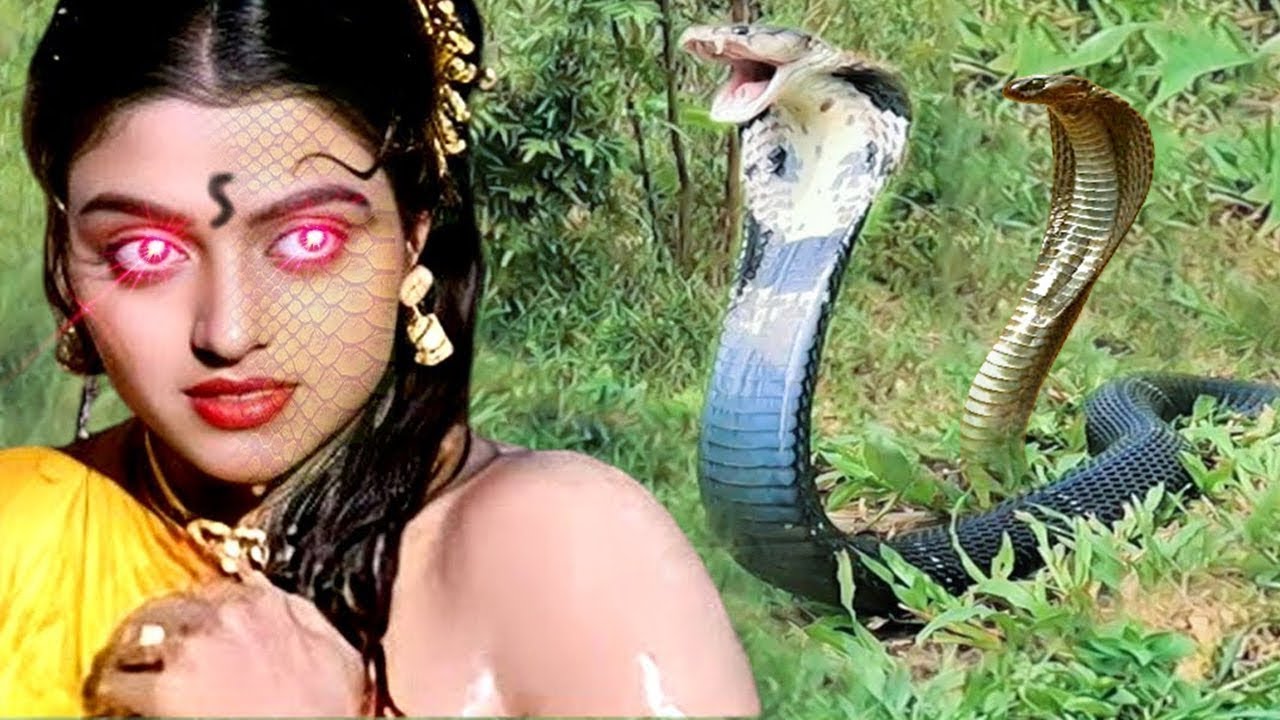 इच्छाधारी नागिन जब इंसानी रूप में बदला लेने आई | Nagin Ka Badla @laxaminarayan-japtapvratt7537