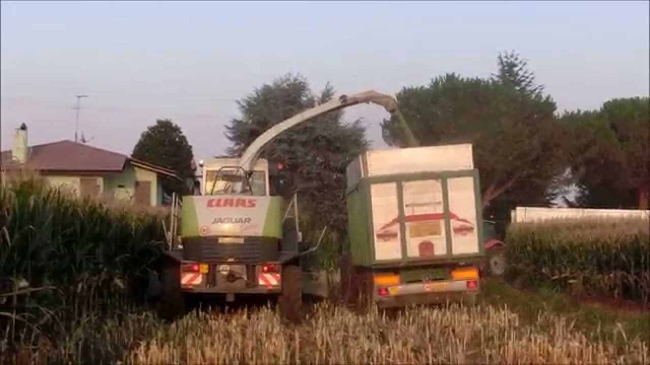 Claas Jaguar 850+New Hollan+Same  Insilato mais 2015