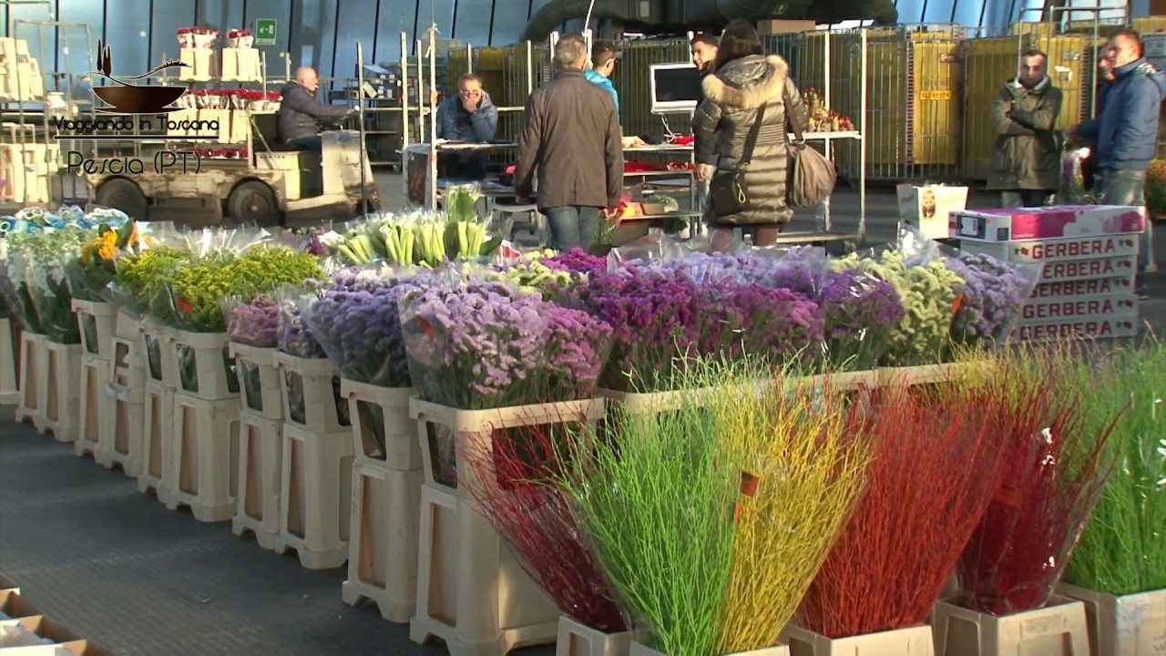Seconda Puntata Pescia - La Città dei Fiori - Viaggiando in Toscana