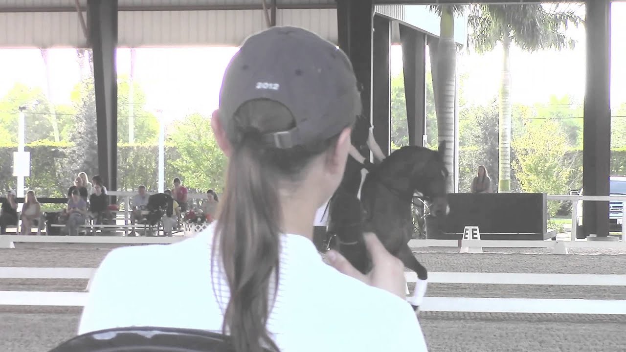 Adrienne Lyle: How To Fix Busy Hands While Riding a Horse