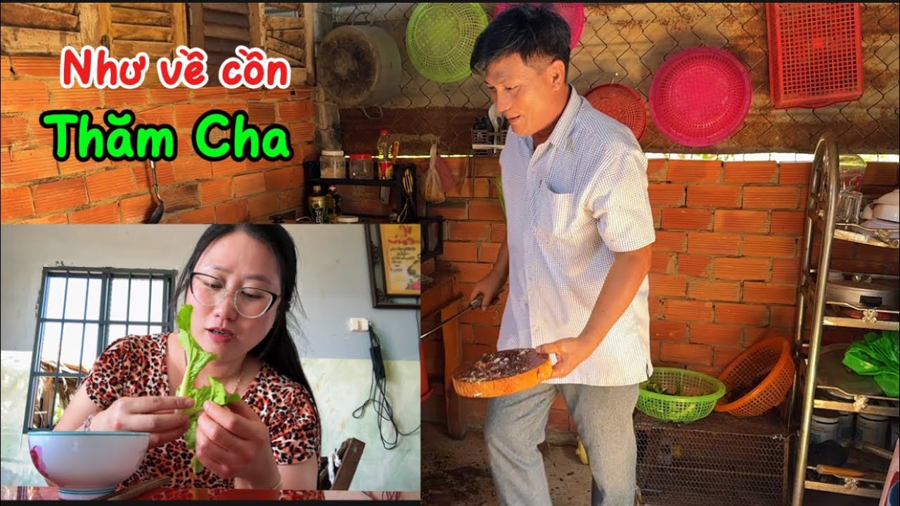 563/ Như về Miền Tây thăm Cha được Cha đãi rau Sạch Cha tự tay trồng 