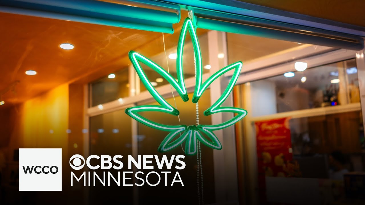 When can recreational cannabis businesses open in Minnesota?