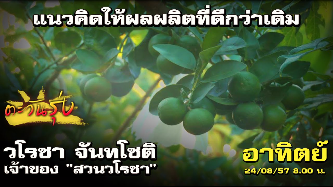 ตะวันรุ่ง : 