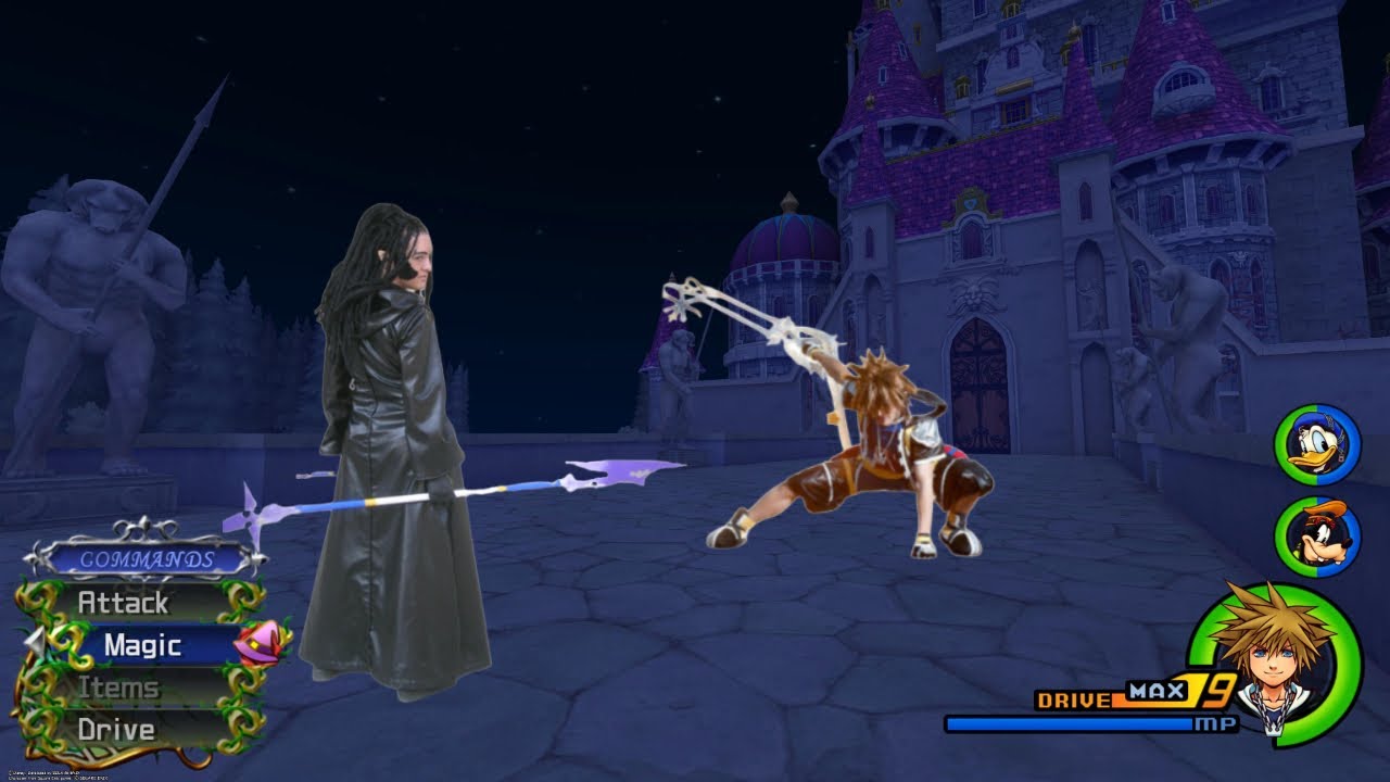 KH2 Frame Perfect Data Xaldin