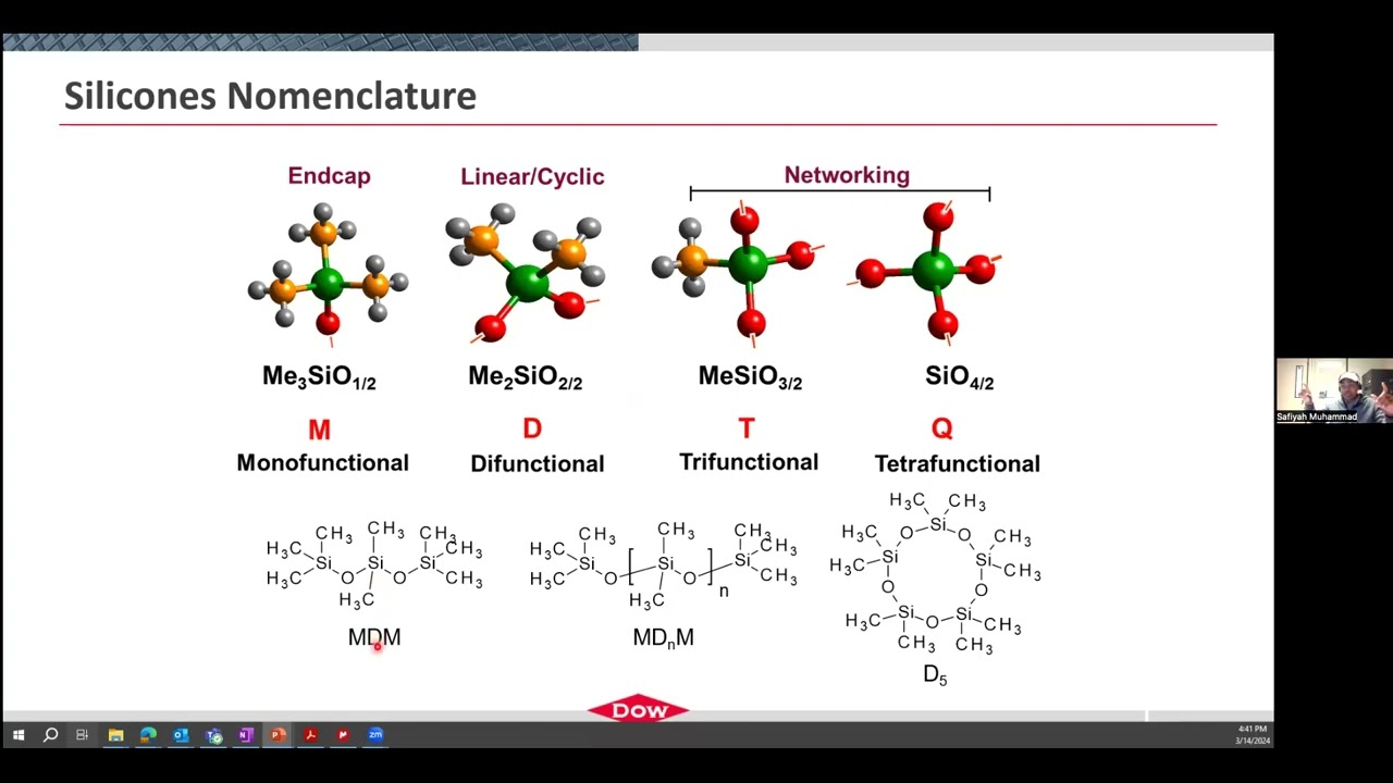 Safiyah Muhammad - Silicone Chemistry and Applications