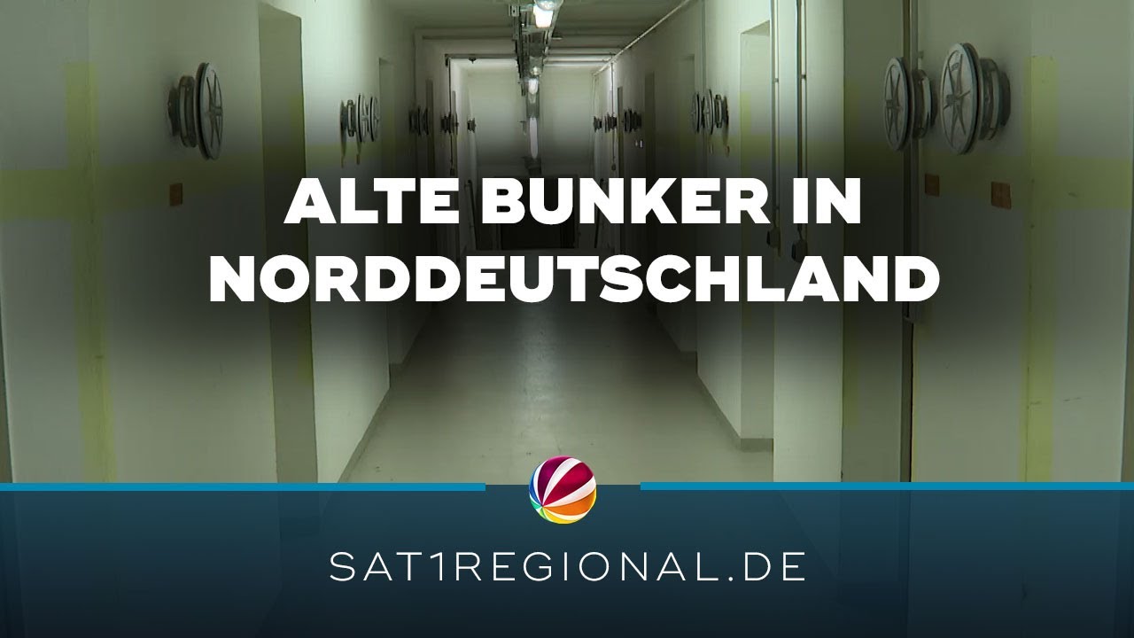 Bunker in Schleswig-Holstein: So werden die Bauten von damals genutzt