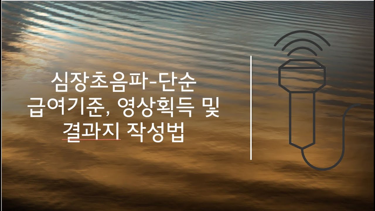 심장초음파-단순(EB431) 검사항목 및 영상획득, 결과지 작성법 _임시업로드용