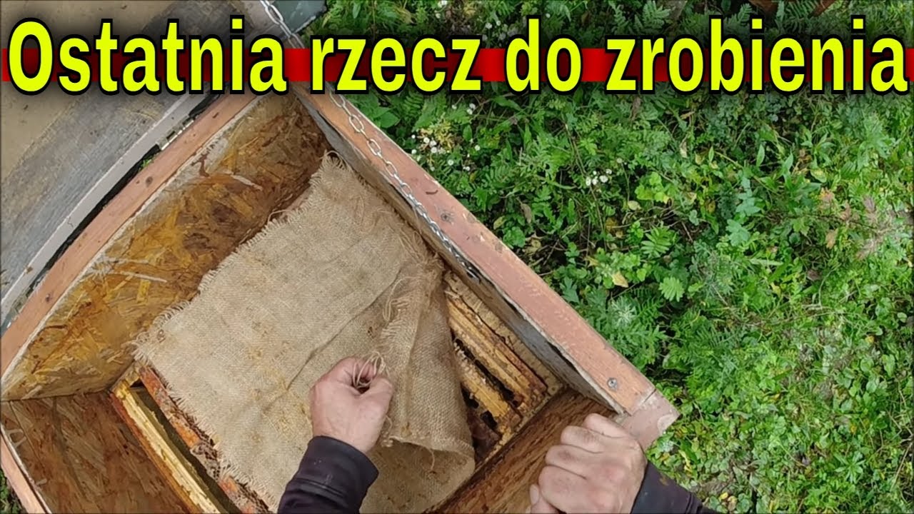 Pszczoły wyleczone i złożone do zimowli. Coś jednak jeszcze trzeba zrobić by przetrwały.