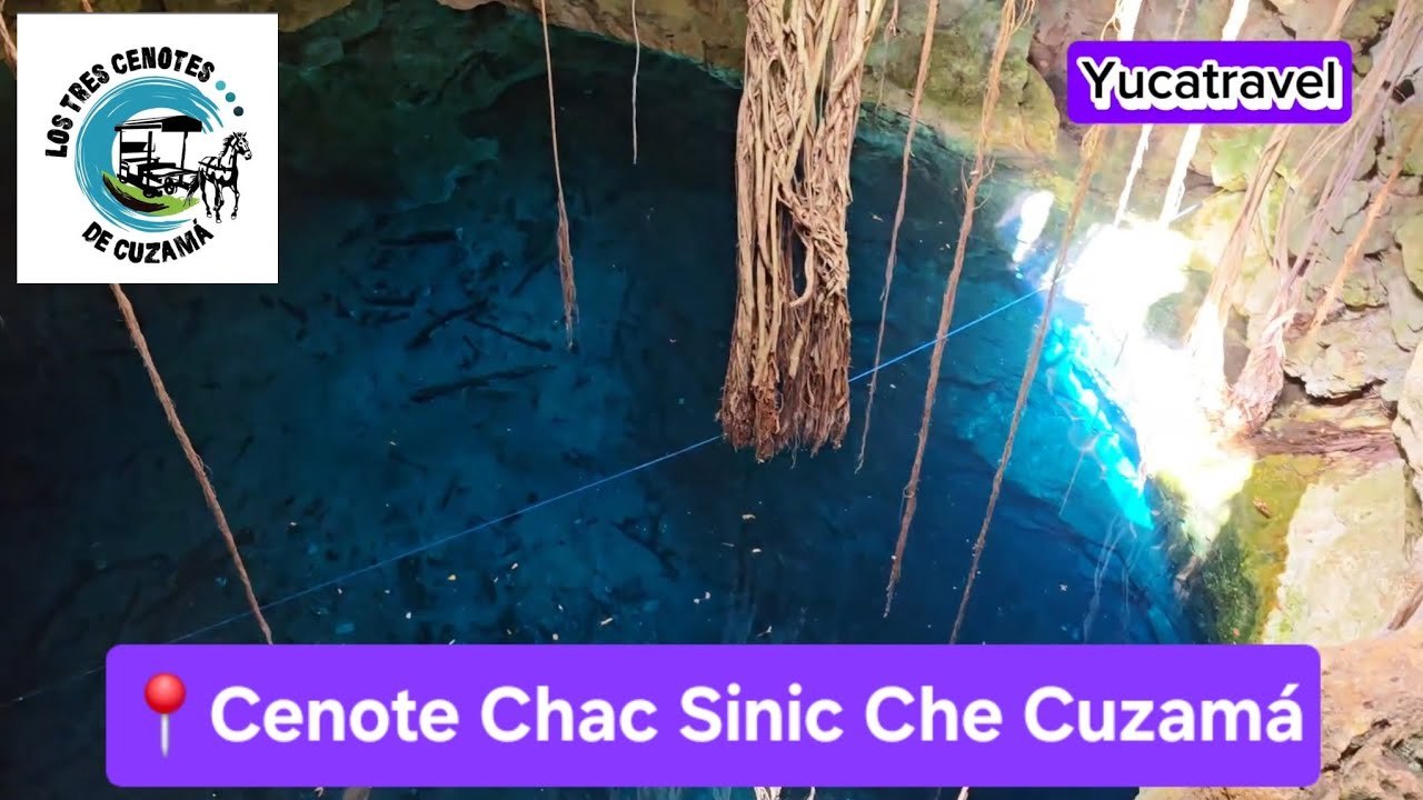 Los cenotes mas bonitos de Cuzam&aacute;, Cenote Chac Sinic Che una maravilla natural #mexico #travel #fyp