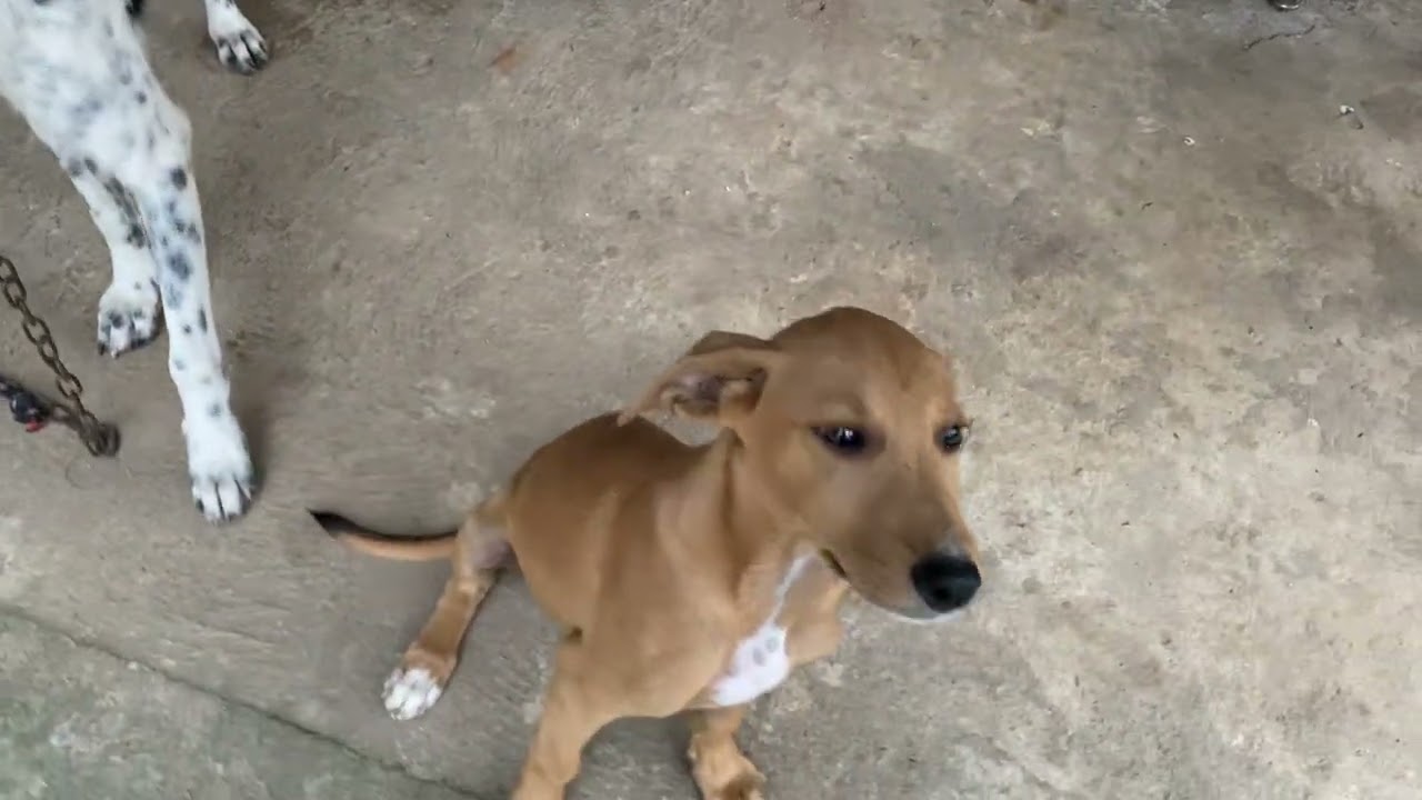 Ninguém quer falar sobre isso