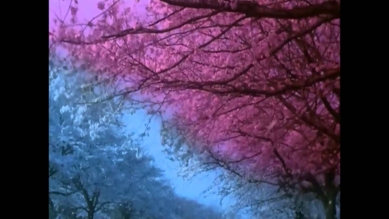 Momento mas triste Hachiko-Monogatari